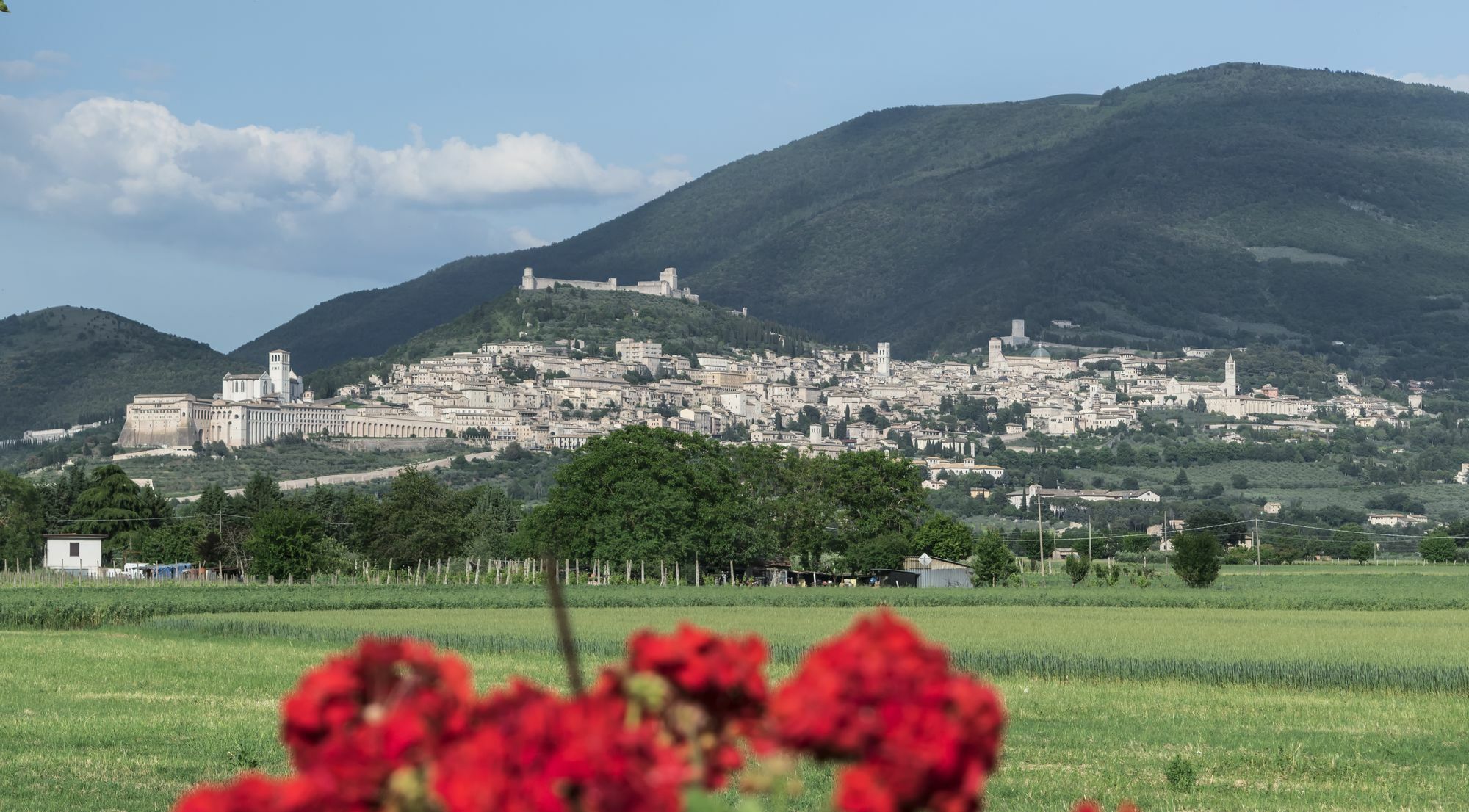 Camere Mariella Assisi Dış mekan fotoğraf