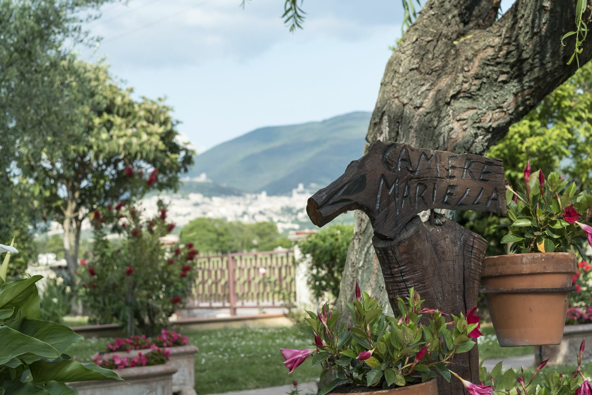 Camere Mariella Assisi Dış mekan fotoğraf