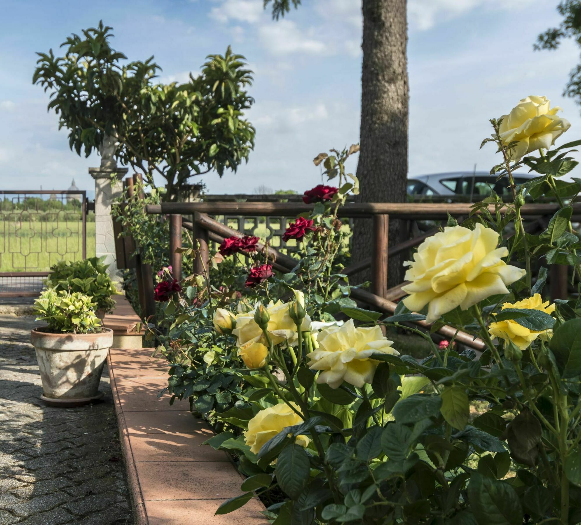 Camere Mariella Assisi Dış mekan fotoğraf